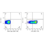 ABflo® 488 Rabbit anti-Human CD5 mAb (Catalog Number: A22185) Abclonal