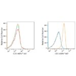 ABflo® 647 Rabbit anti-Human CD5 mAb (A22186)