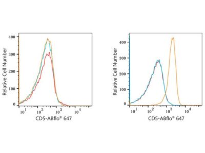 ABflo® 647 Rabbit anti-Human CD5 mAb (A22186)