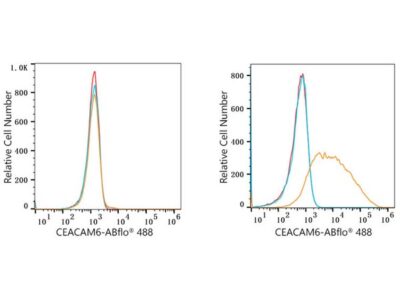 ABflo® 488 Rabbit anti-Human CEACAM6 mAb (A22187)