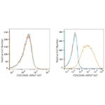 ABflo® 647 Rabbit anti-Human CEACAM6 mAb (A22188)