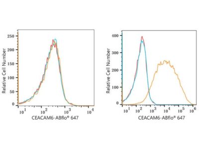 ABflo® 647 Rabbit anti-Human CEACAM6 mAb (A22188)