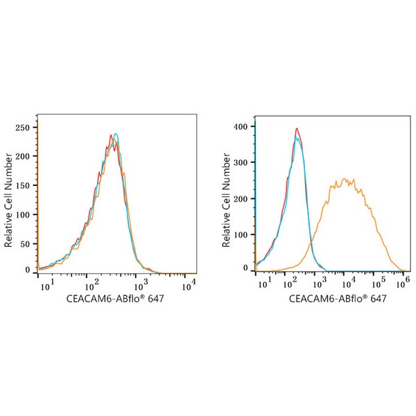 ABflo® 647 Rabbit anti-Human CEACAM6 mAb (A22188)