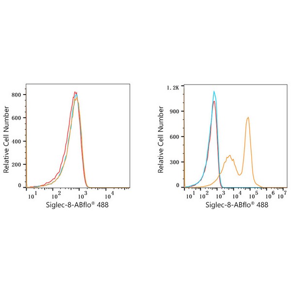 ABflo® 488 Rabbit anti-Human Siglec-8 mAb (A22189)