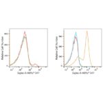 ABflo® 647 Rabbit anti-Human Siglec-8 mAb (A22190)