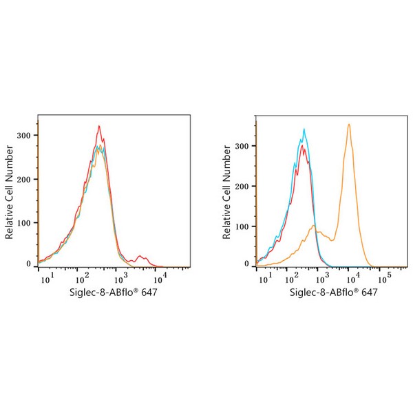 ABflo® 647 Rabbit anti-Human Siglec-8 mAb (A22190)