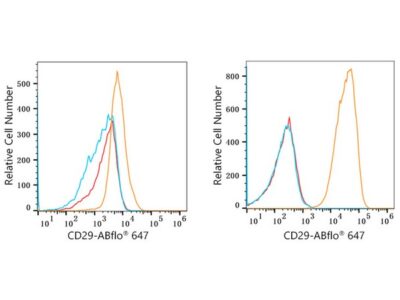 ABflo® 647 Rabbit anti-Human Integrin-β1/CD29 mAb (A22192)