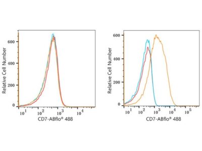 ABflo® 488 Rabbit anti-Human CD7 mAb (A22193)