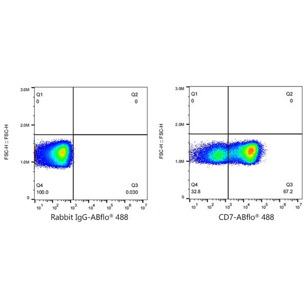 ABflo® 488 Rabbit anti-Human CD7 mAb (Catalog Number: A22193) Abclonal