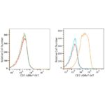 ABflo® 647 Rabbit anti-Human CD7 mAb (A22194)