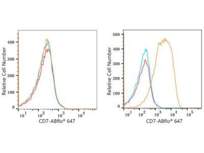 ABflo® 647 Rabbit anti-Human CD7 mAb (A22194)
