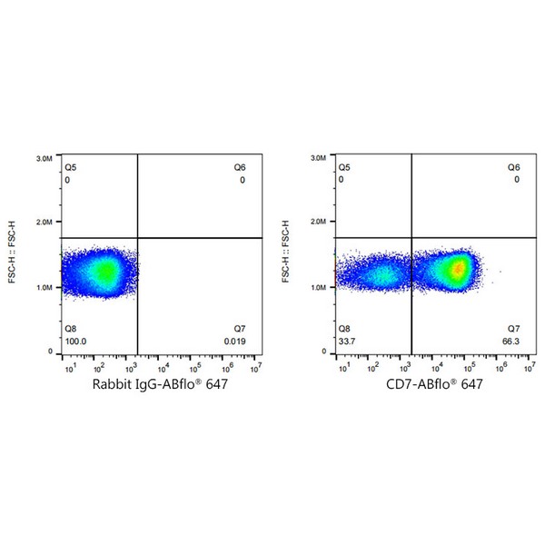 ABflo® 647 Rabbit anti-Human CD7 mAb (Catalog Number: A22194) Abclonal