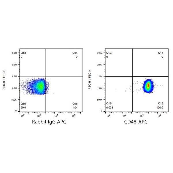 APC Rabbit anti-Human CD48 mAb, glycerol free (Catalog Number: A22209N) Abclonal