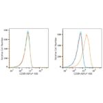 ABflo® 488 Rabbit anti-Human CD30 mAb (A22214)