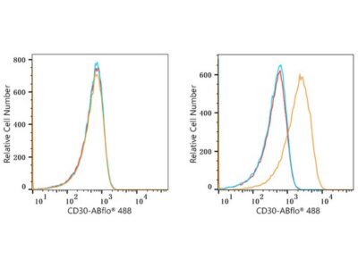 ABflo® 488 Rabbit anti-Human CD30 mAb (A22214)