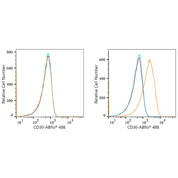 ABflo® 488 Rabbit anti-Human CD30 mAb (A22214)