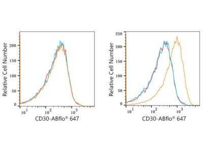 ABflo® 647 Rabbit anti-Human CD30 mAb (A22215)