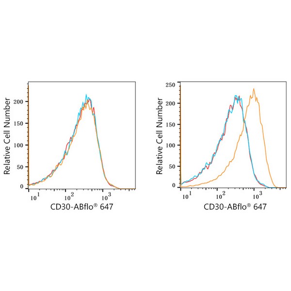 ABflo® 647 Rabbit anti-Human CD30 mAb (A22215) ABflo® 647 Rabbit anti-Human CD30 mAb (A22215)