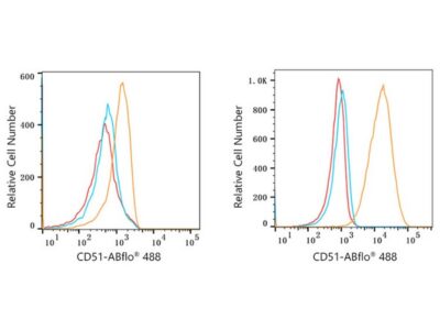 ABflo® 488 Rabbit anti-Human CD51 mAb (A22298)