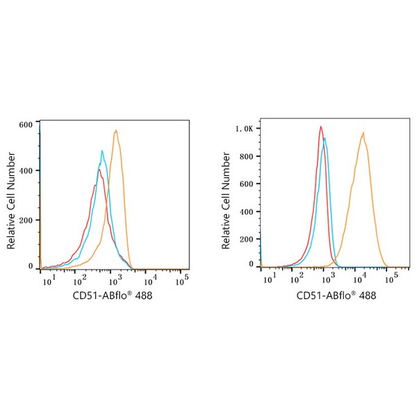 ABflo® 488 Rabbit anti-Human CD51 mAb (A22298) ABflo® 488 Rabbit anti-Human CD51 mAb (A22298)