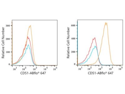 ABflo® 647 Rabbit anti-Human CD51 mAb (A22299)