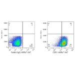 A22299: ABflo® 647 Rabbit anti-Human CD51 mAb