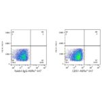 ABflo® 647 Rabbit anti-Human CD51 mAb (Catalog Number: A22299) Abclonal