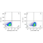ABflo® 488 Rabbit anti-Human CD79a mAb (Catalog Number: A22300) Abclonal