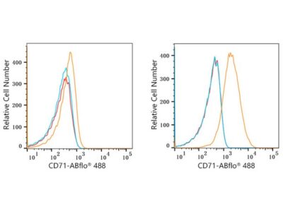 ABflo® 488 Rabbit anti-Human CD71 mAb (A22301)