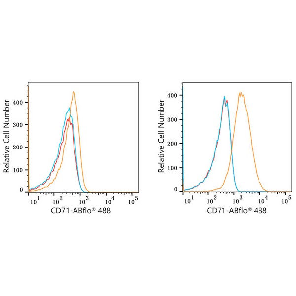 ABflo® 488 Rabbit anti-Human CD71 mAb (A22301) ABflo® 488 Rabbit anti-Human CD71 mAb (A22301)