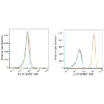 ABflo® 488 Rabbit anti-Human CD70 mAb (A22302)