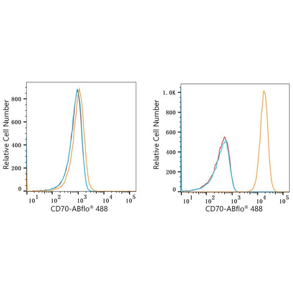 ABflo® 488 Rabbit anti-Human CD70 mAb (A22302)