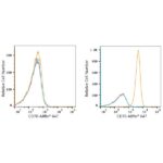 ABflo® 647 Rabbit anti-Human CD70 mAb (A22303)