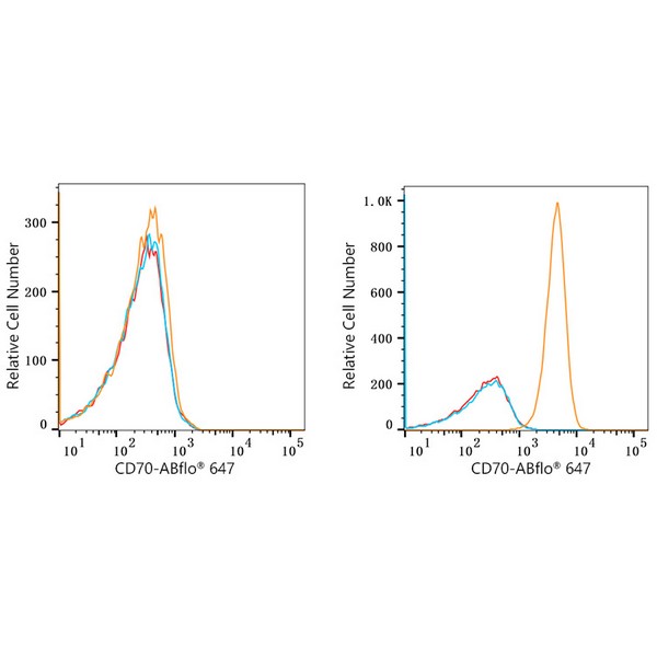 ABflo® 647 Rabbit anti-Human CD70 mAb (A22303) ABflo® 647 Rabbit anti-Human CD70 mAb (A22303)