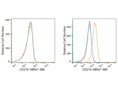 ABflo® 488 Rabbit anti-Human PD-L1/CD274 mAb (A22304)