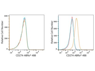 ABflo® 488 Rabbit anti-Human PD-L1/CD274 mAb (A22304)