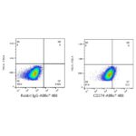 A22304: ABflo® 488 Rabbit anti-Human PD-L1/CD274 mAb