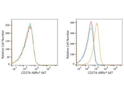 ABflo® 647 Rabbit anti-Human PD-L1/CD274 mAb (A22305)