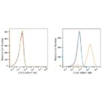 ABflo® 488 Rabbit anti-Human CD10 mAb (A22306)