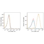 ABflo® 647 Rabbit anti-Human CD10 mAb (A22307)