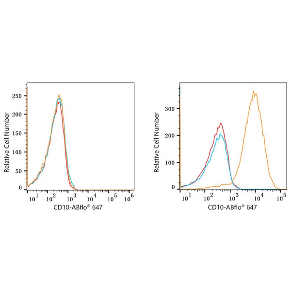 ABflo® 647 Rabbit anti-Human CD10 mAb (A22307) ABflo® 647 Rabbit anti-Human CD10 mAb (A22307)