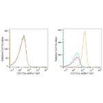 ABflo® 647 Rabbit anti-Human CD172a/SIRPα mAb (A22309)