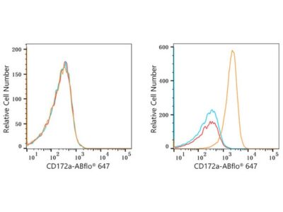 ABflo® 647 Rabbit anti-Human CD172a/SIRPα mAb (A22309)