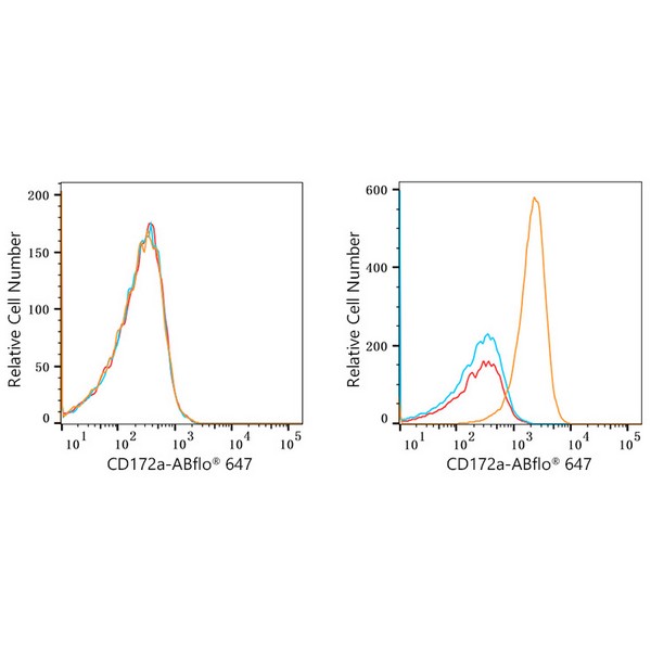 ABflo® 647 Rabbit anti-Human CD172a/SIRPα mAb (A22309) ABflo® 647 Rabbit anti-Human CD172a/SIRPα mAb (A22309)