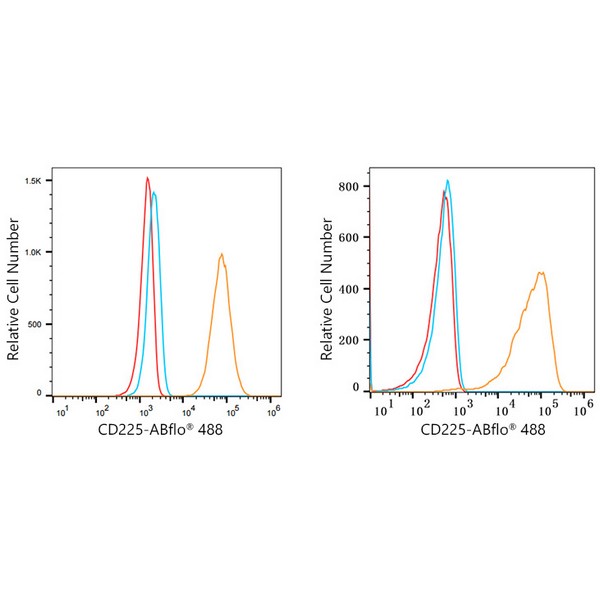 A22310: ABflo® 488 Rabbit anti-Human CD225/IFITM1 mAb