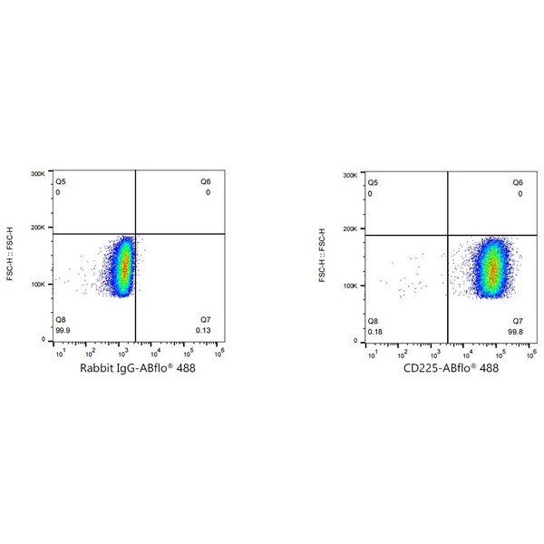 Abclonal ABflo® 488 Rabbit anti-Human CD225/IFITM1 mAb (Catalog Number: A22310)