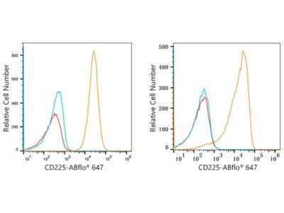 ABflo® 647 Rabbit anti-Human CD225/IFITM1 mAb (A22311)