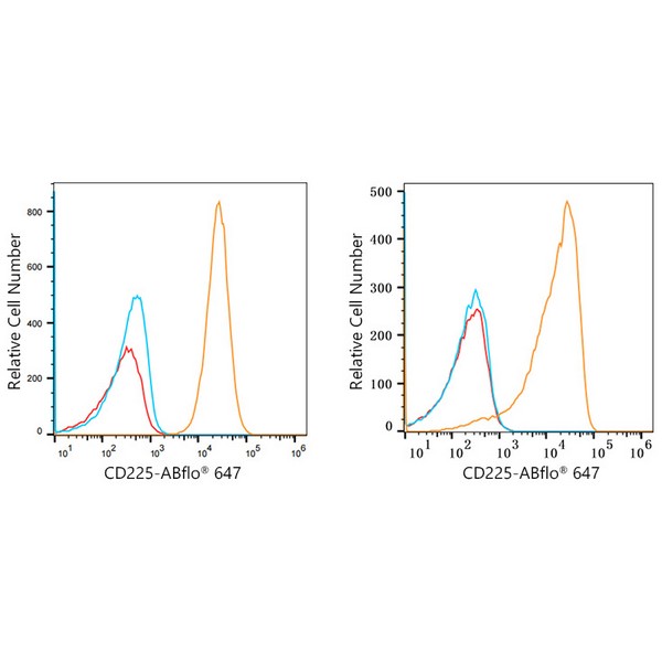 ABflo® 647 Rabbit anti-Human CD225/IFITM1 mAb (A22311) ABflo® 647 Rabbit anti-Human CD225/IFITM1 mAb (A22311)