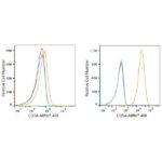 ABflo® 488 Rabbit anti-Human ICAM-1/CD54 mAb (A22312)