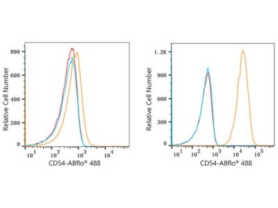 ABflo® 488 Rabbit anti-Human ICAM-1/CD54 mAb (A22312)